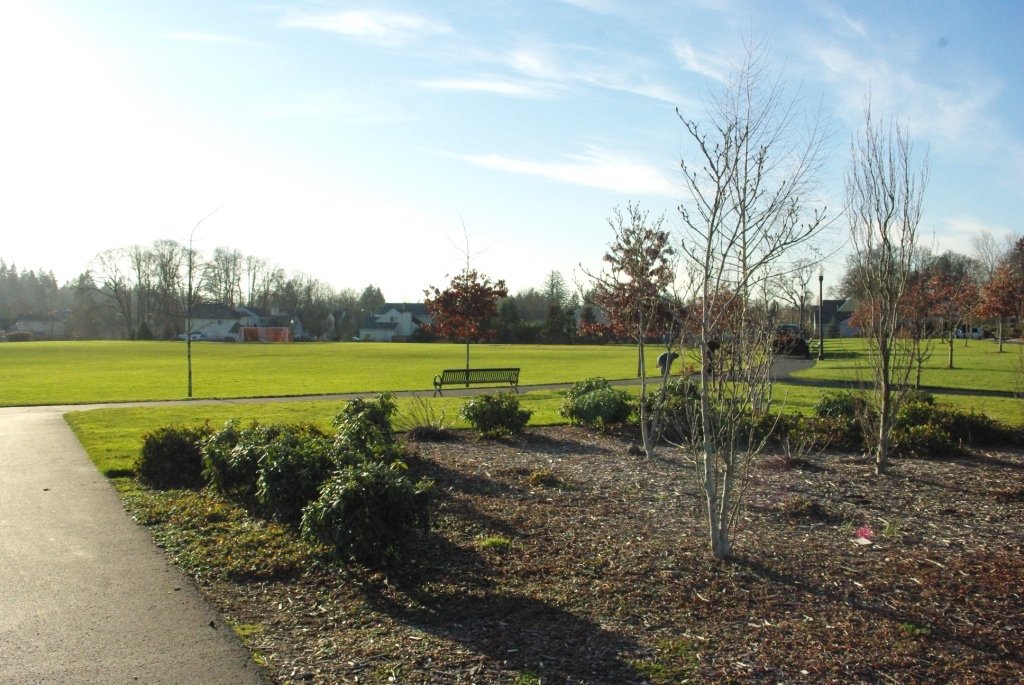 Open playing fields at Reedville Creek Park, Hillsboro